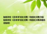 如何評價《喜羊羊與灰太狼》中的灰太狼介紹(如何評價《喜羊羊與灰太狼》中的灰太狼詳細(xì)情況如何)