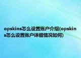 opskins怎么設(shè)置賬戶介紹(opskins怎么設(shè)置賬戶詳細(xì)情況如何)