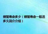 螃蟹壽命多少（螃蟹壽命一般活多久簡介介紹）