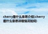 cherry是什么意思介紹(cherry是什么意思詳細情況如何)