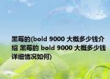 黑莓的(bold 9000 大概多少錢介紹 黑莓的 bold 9000 大概多少錢詳細(xì)情況如何)