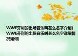 WWE芬利的出場(chǎng)音樂(lè)叫甚么名字介紹(WWE芬利的出場(chǎng)音樂(lè)叫甚么名字詳細(xì)情況如何)