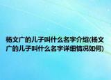 楊文廣的兒子叫什么名字介紹(楊文廣的兒子叫什么名字詳細(xì)情況如何)