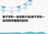 錐子手機(jī)一直亮著介紹(錐子手機(jī)一直亮著詳細(xì)情況如何)