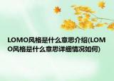 LOMO風格是什么意思介紹(LOMO風格是什么意思詳細情況如何)