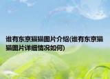 誰有東京貓貓圖片介紹(誰有東京貓貓圖片詳細情況如何)
