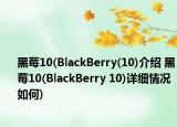 黑莓10(BlackBerry(10)介紹 黑莓10(BlackBerry 10)詳細情況如何)