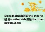 是another(side還是the other介紹 是another side還是the other詳細情況如何)