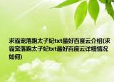 求霸寵落跑太子妃txt最好百度云介紹(求霸寵落跑太子妃txt最好百度云詳細(xì)情況如何)