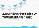 20款vv7油耗多少真實(shí)油耗（vv7真實(shí)油耗量多少簡(jiǎn)介介紹）