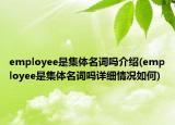 employee是集體名詞嗎介紹(employee是集體名詞嗎詳細(xì)情況如何)