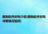 酷狗軟件好嗎介紹(酷狗軟件好嗎詳細情況如何)