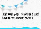 王者榮耀cp是什么意思哦（王者游戲cp什么意思簡介介紹）