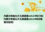 內(nèi)蒙古電視臺少兒頻道是cctv14嗎介紹(內(nèi)蒙古電視臺少兒頻道是cctv14嗎詳細情況如何)