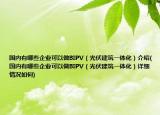 國內(nèi)有哪些企業(yè)可以做BIPV（光伏建筑一體化）介紹(國內(nèi)有哪些企業(yè)可以做BIPV（光伏建筑一體化）詳細(xì)情況如何)