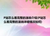 P站怎么看完整的漫畫介紹(P站怎么看完整的漫畫詳細(xì)情況如何)