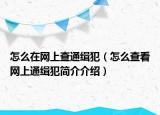 怎么在網(wǎng)上查通緝犯（怎么查看網(wǎng)上通緝犯簡介介紹）