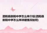 泗陽(yáng)縣新陽(yáng)中學(xué)怎么樣介紹(泗陽(yáng)縣新陽(yáng)中學(xué)怎么樣詳細(xì)情況如何)