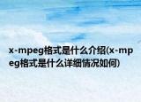 x-mpeg格式是什么介紹(x-mpeg格式是什么詳細情況如何)