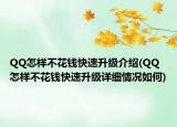 QQ怎樣不花錢(qián)快速升級(jí)介紹(QQ怎樣不花錢(qián)快速升級(jí)詳細(xì)情況如何)