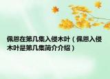 佩恩在第幾集入侵木葉（佩恩入侵木葉是第幾集簡(jiǎn)介介紹）