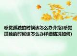 感覺孤獨(dú)的時(shí)候該怎么辦介紹(感覺孤獨(dú)的時(shí)候該怎么辦詳細(xì)情況如何)