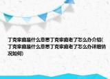 丁克家庭是什么意思丁克家庭老了怎么辦介紹(丁克家庭是什么意思丁克家庭老了怎么辦詳細(xì)情況如何)