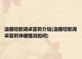 洛麗塔歌詞卓亞君介紹(洛麗塔歌詞卓亞君詳細情況如何)