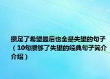 攢足了希望最后也全是失望的句子（10句攢夠了失望的經(jīng)典句子簡介介紹）