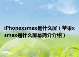 iPhonexsmax是什么屏（蘋果xsmax是什么屏幕簡(jiǎn)介介紹）