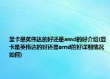 顯卡是英偉達的好還是amd的好介紹(顯卡是英偉達的好還是amd的好詳細情況如何)