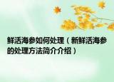 鮮活海參如何處理（新鮮活海參的處理方法簡(jiǎn)介介紹）