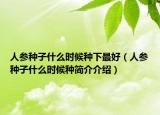 人參種子什么時候種下最好（人參種子什么時候種簡介介紹）