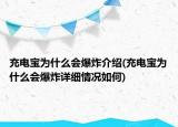 充電寶為什么會爆炸介紹(充電寶為什么會爆炸詳細情況如何)