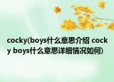 cocky(boys什么意思介紹 cocky boys什么意思詳細(xì)情況如何)