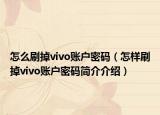 怎么刷掉vivo賬戶密碼（怎樣刷掉vivo賬戶密碼簡介介紹）