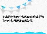 你家的狗狗有小名嗎介紹(你家的狗狗有小名嗎詳細情況如何)