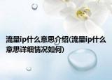 流量ip什么意思介紹(流量ip什么意思詳細情況如何)