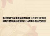 電視劇兩生花里面的歌都叫什么名字介紹(電視劇兩生花里面的歌都叫什么名字詳細(xì)情況如何)