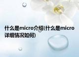 什么是micro介紹(什么是micro詳細情況如何)