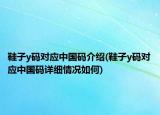 鞋子y碼對(duì)應(yīng)中國(guó)碼介紹(鞋子y碼對(duì)應(yīng)中國(guó)碼詳細(xì)情況如何)