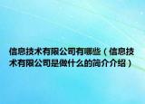 信息技術有限公司有哪些（信息技術有限公司是做什么的簡介介紹）