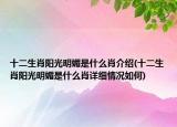 十二生肖陽光明媚是什么肖介紹(十二生肖陽光明媚是什么肖詳細情況如何)