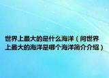 世界上最大的是什么海洋（問世界上最大的海洋是哪個海洋簡介介紹）