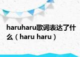 haruharu歌詞表達(dá)了什么（haru haru）