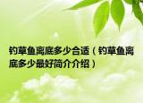 釣草魚離底多少合適（釣草魚離底多少最好簡介介紹）