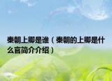 秦朝上卿是誰（秦朝的上卿是什么官簡介介紹）