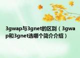 3gwap與3gnet的區(qū)別（3gwap和3gnet選哪個(gè)簡(jiǎn)介介紹）