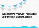 愛江湖道士學什么心法介紹(愛江湖道士學什么心法詳細情況如何)