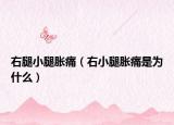 右腿小腿脹痛（右小腿脹痛是為什么）